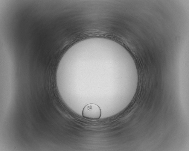 X0000110320215200905211212