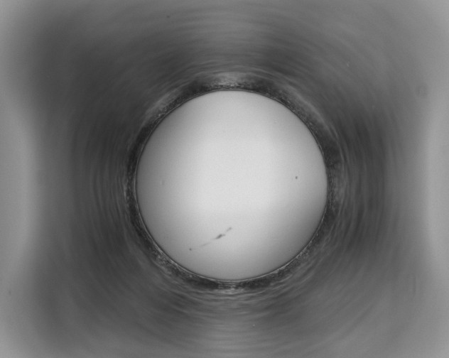 X0000110320216200905211212