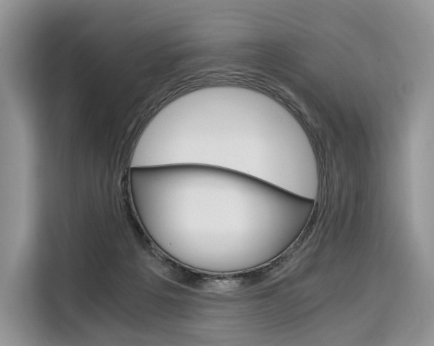 X0000110320217200905211212