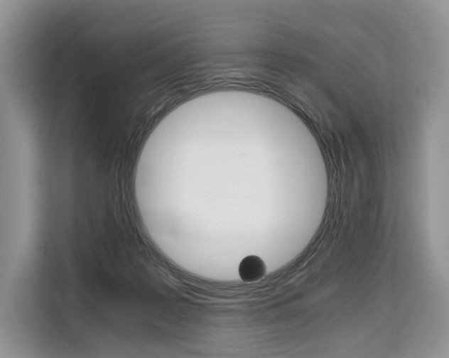 X0000110320219200905211212
