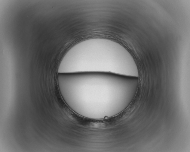 X0000110320220200905211212