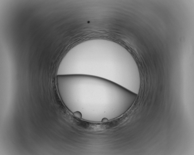 X0000110320221200905211212