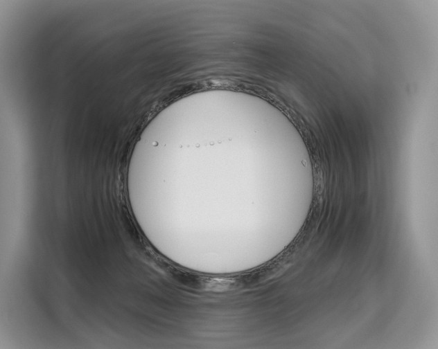 X0000110320222200905211212
