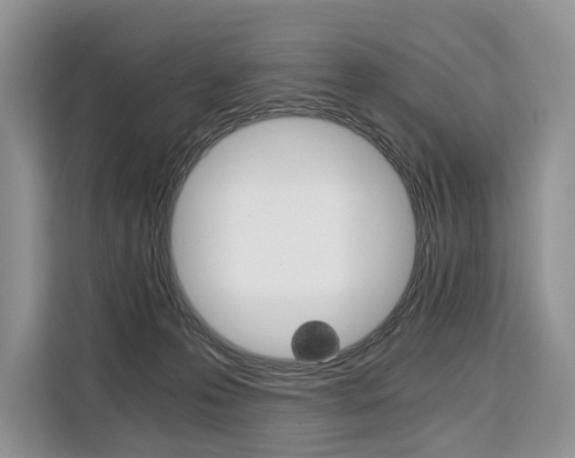 X0000110320223200905211212