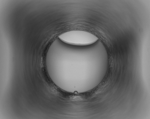 X0000110320224200905211212