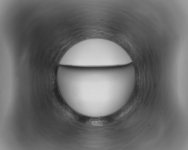 X0000110320228200905211212