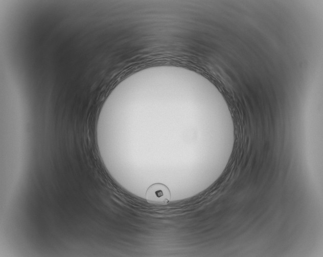 X0000110320229200905211212