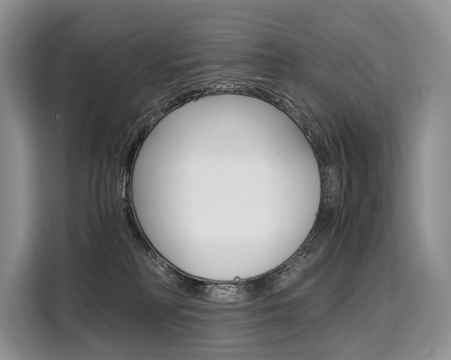 X0000110320230200905211212