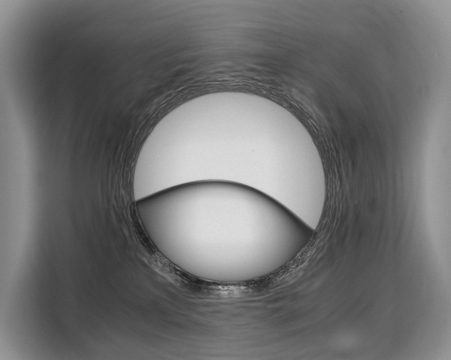 X0000110320233200905211212