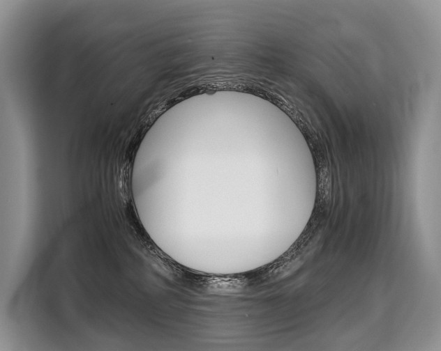 X0000110320234200905211212