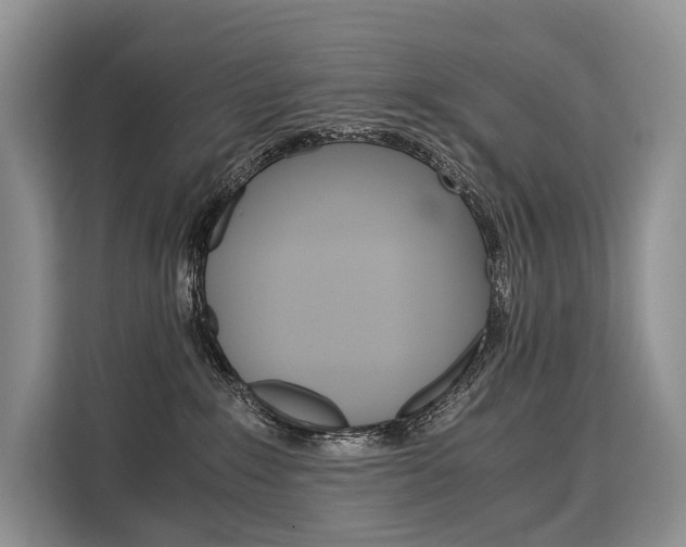 X0000110320235200905211212