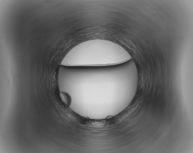 X0000110320236200905211212
