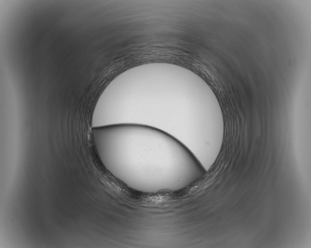 X0000110320237200905211212