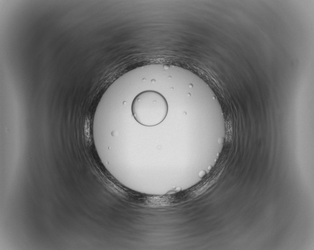 X0000110320238200905211212