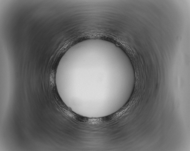 X0000110320240200905211212