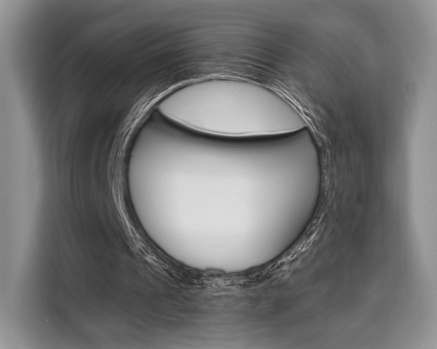 X0000110320241200905211211