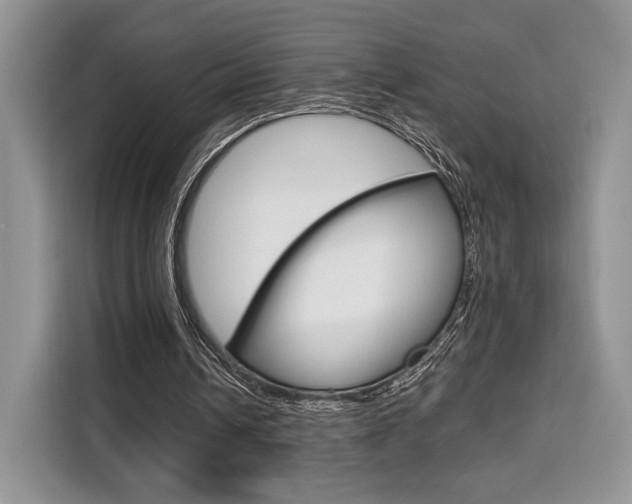 X0000110320242200905211211