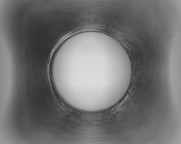 X0000110320244200905211211
