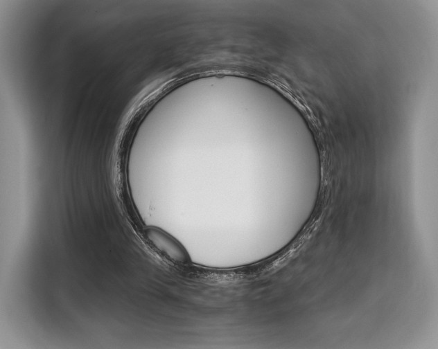 X0000110320245200905211211