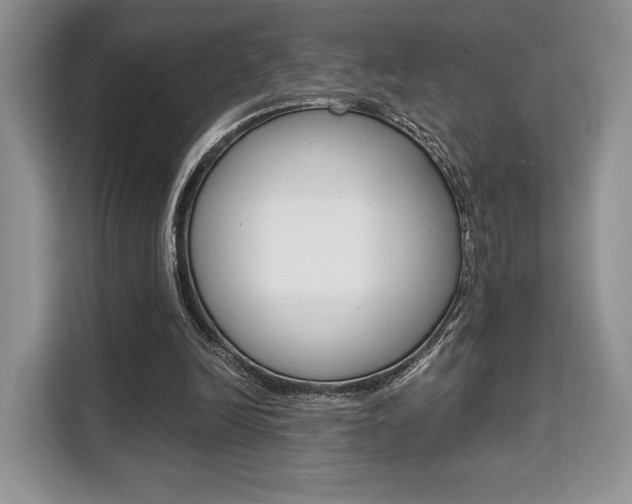 X0000110320246200905211211
