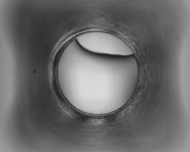 X0000110320247200905211211