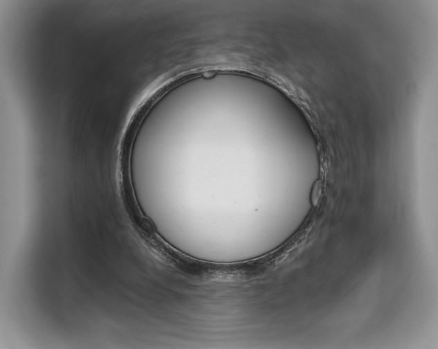 X0000110320248200905211211