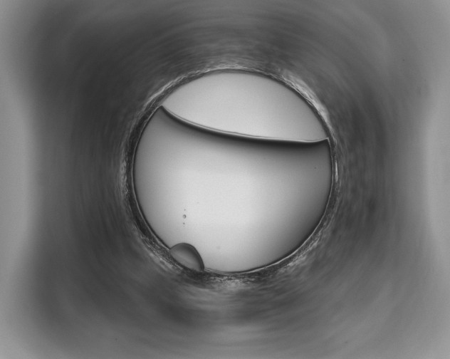 X0000110320249200905211211