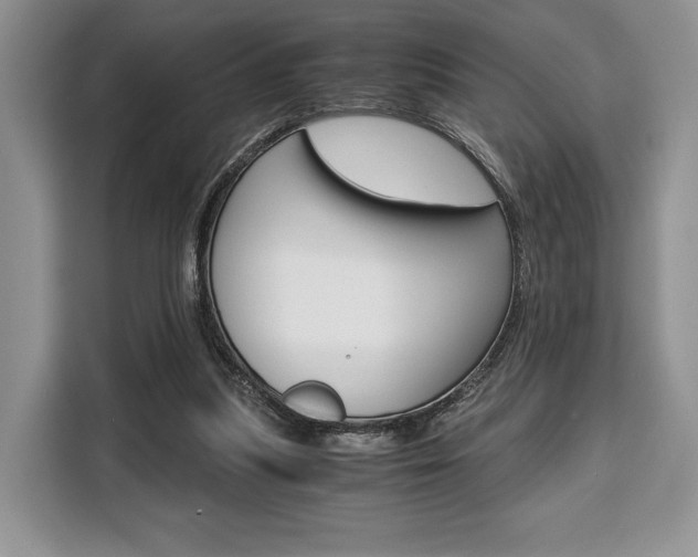 X0000110320251200905211211