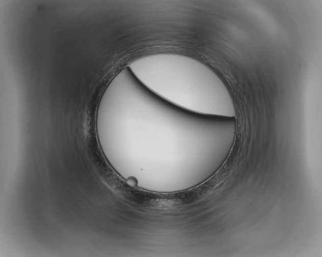 X0000110320255200905211211