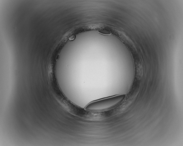 X0000110320260200905211211