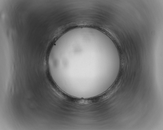 X0000110320261200905211211
