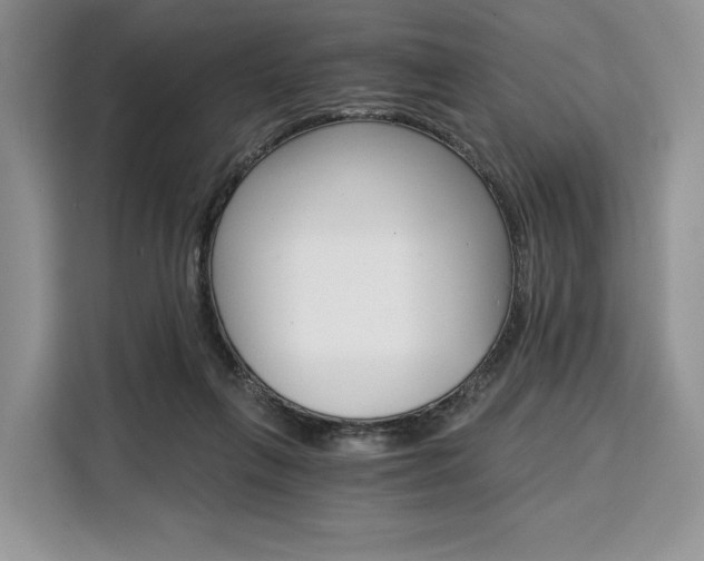 X0000110320263200905211211