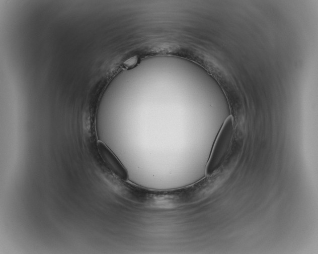 X0000110320268200905211212