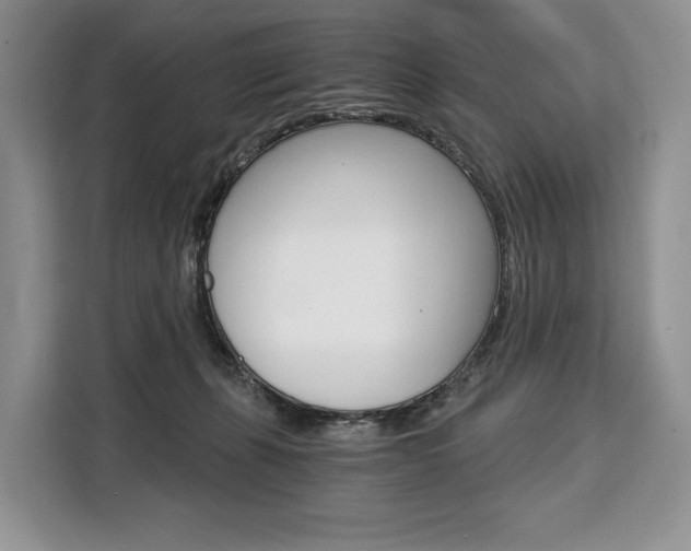 X0000110320271200905211212