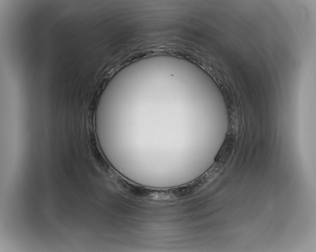 X0000110320272200905211212