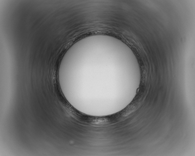 X0000110320274200905211212