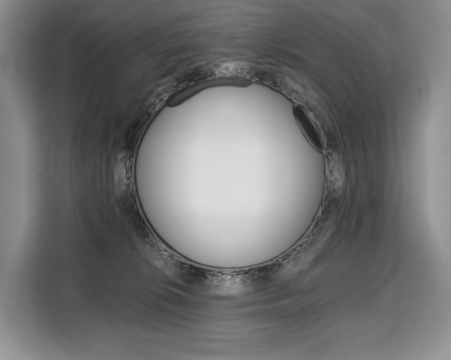 X0000110320276200905211212