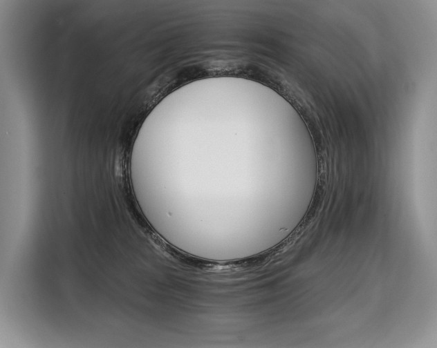 X0000110320277200905211212