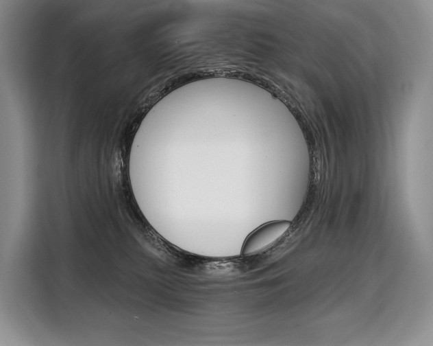 X0000110320279200905211212