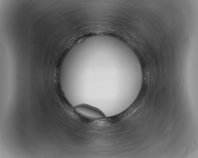 X0000110320280200905211212