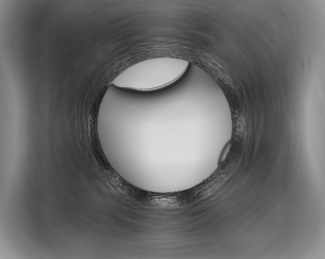 X0000110320283200905211212