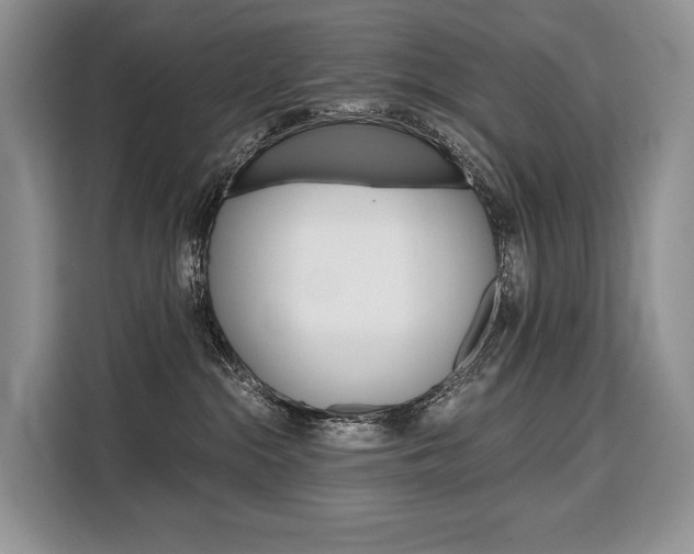 X0000110320284200905211212