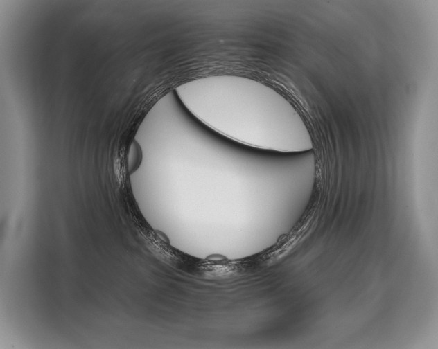 X0000110320285200905211212