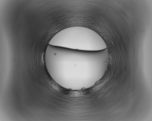 X0000110320286200905211212