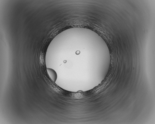 X0000110320287200905211212