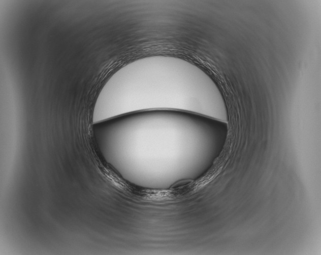 X0000110320288200905211212