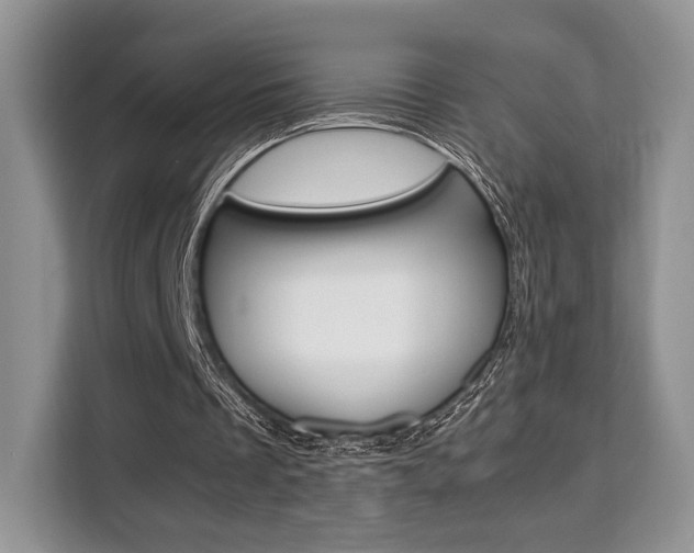 X0000110320289200905211211