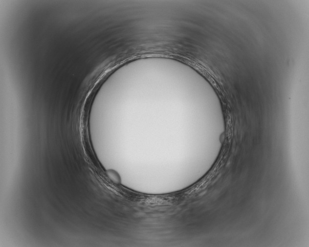 X0000110320290200905211211