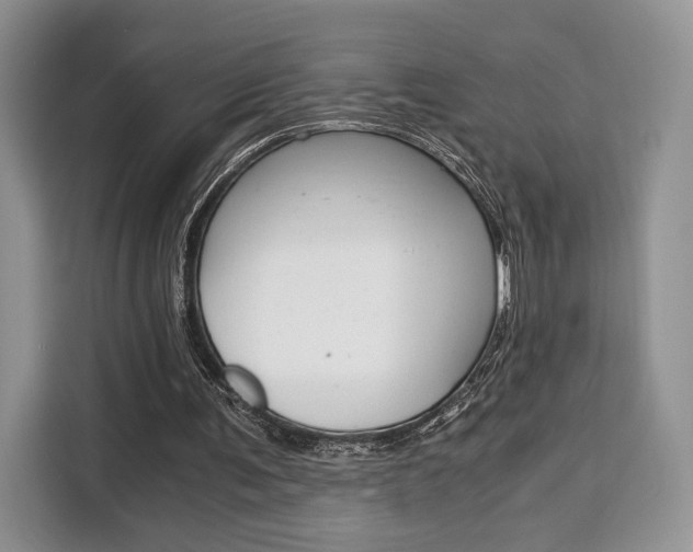 X0000110320291200905211211
