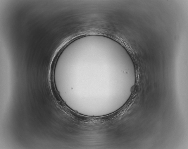 X0000110320292200905211211
